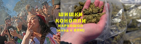 соль ск Богданович