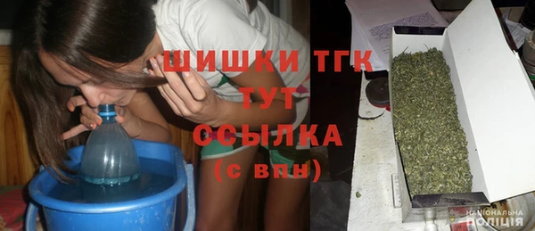 амф Богородицк