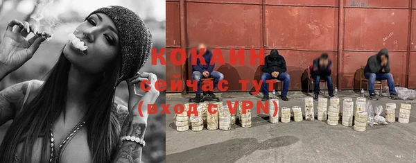 соль ск Богданович