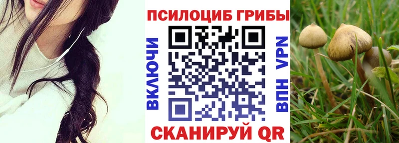 Псилоцибиновые грибы мухоморы  Купить  Нижний Ломов 